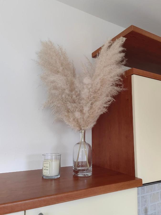 Sea View Apartment & Studio Apartment Bruno Umag Zewnętrze zdjęcie